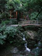 Top Dujiangyan