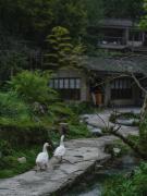 Top Dujiangyan