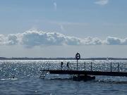 Top Bakkebølle Fredskov