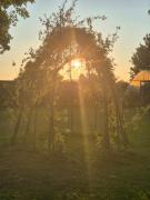 Tiny house on the Veluwe the outdoor life