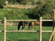 Top San Román de Cameros