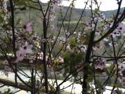 Top San Román de Cameros