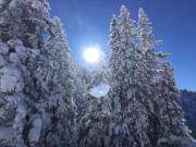 Top Alpbach
