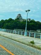 pine grove Seaside guest house