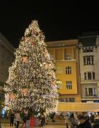 Main Square Dream Apartment