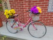 Rai villa vedic village