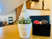 AERO Apartmaji Lesce-Bled