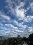 Top Mirik