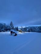 Top Molveno Top Molveno