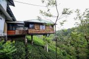 Top Vagamon