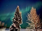 Playful Villa for Friends and Families