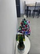 Top Mombasa Top Mombasa