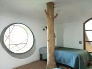 Top Xilitla Top Xilitla