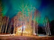 Riverfront, Authentic, Luxury Log Cabin-Bison