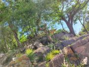 La Morada del Arroyo