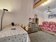 Accueillant duplex pour 5 pers. à Plagne Villages - FR-1-455-283