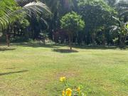 Top Khao Sok Top Khao Sok