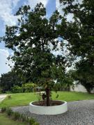 Top San Pedro de Macorís