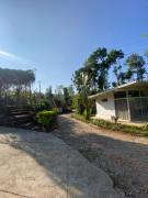 Top Mudigere Top Mudigere