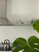 Top Gravina in Puglia