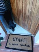 La Casa di Berenice a Porto Azzurro