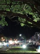 Top Krabi