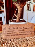 La Casetta di San Giovanni 1924