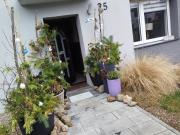 Seasunflowers Seasunflowers