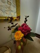 Top Vila Nova de Cerveira