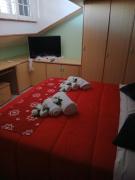 Top Castiglion Fiorentino