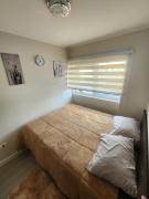 Top Concepción Top Concepción