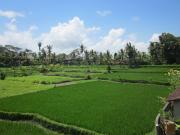 Top Ubud