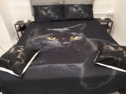 Il covo del gattonero