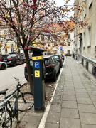 Top Warszawa Top Warszawa