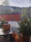 Top Stronie Śląskie