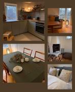 Sofias Lovely Little House