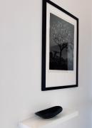 Wien Brigittenau, zentrumsnah, Augarten, Prater, Donauinsel