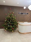 Morzlive75 apartament blisko morza