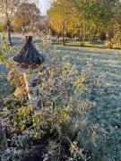 Top Giebułtów Top Giebułtów