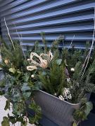 Top Teplice nad Metují