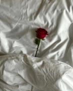 Top Borgo San Dalmazzo