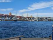 Florenze J113 Hurghada Florenze J113 Hurghada