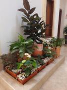 Top Zapatoca Top Zapatoca