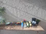 Top Playa del Carmen