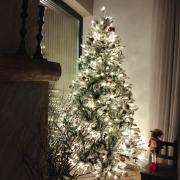 Top Poiana Mărului Top Poiana Mărului