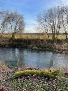 Top Bałtów Top Bałtów