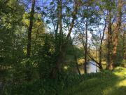 Top Bałtów Top Bałtów