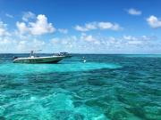 Top San Pedro Top San Pedro