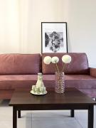 Top Podostrówek Top Podostrówek