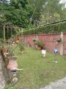 Top Gigante Top Gigante